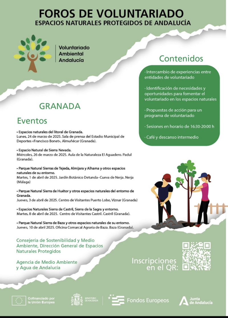 Cartel de la actividad