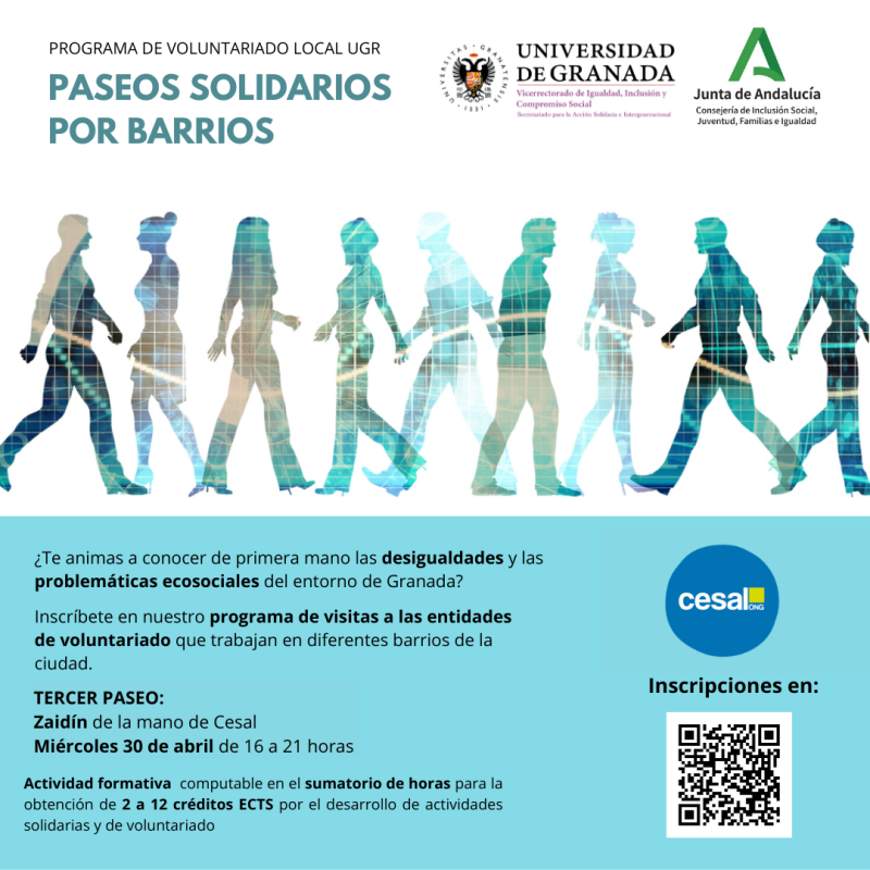 Tercer Paseo Solidario Imagen de la actividad